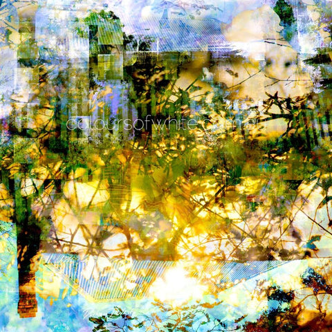 Portrait – Archival Canvas Print
