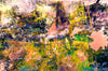 Abstract art featuring various buildings within Bendigo in a warming and cool colour palette