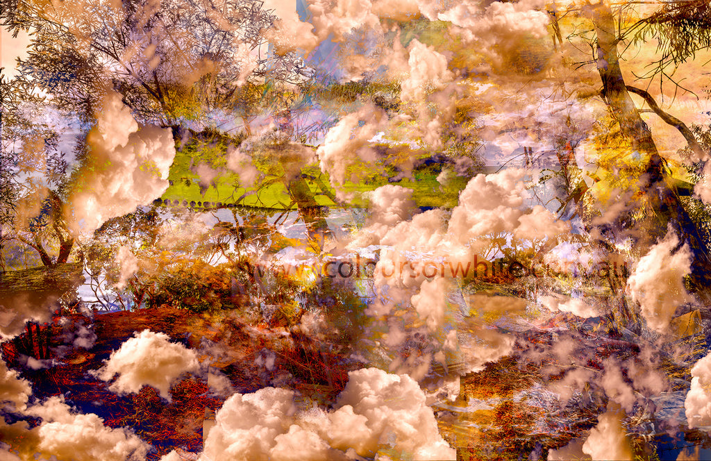 Selected Works in Limited Edition