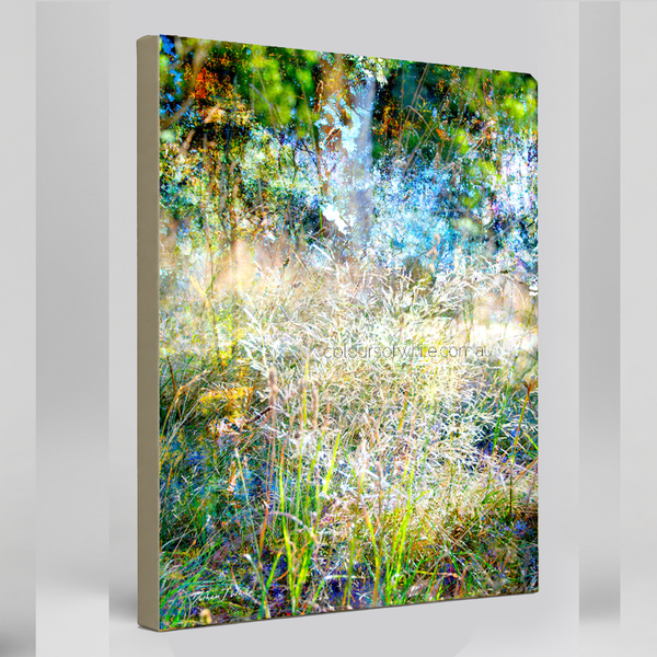 “Rising to the Countryside Glory” Archival canvas print by Durham J White, featuring a layered photographic artwork of wild grasses catching morning light against deep Australian greens, morning yellows, and cool sky blues.