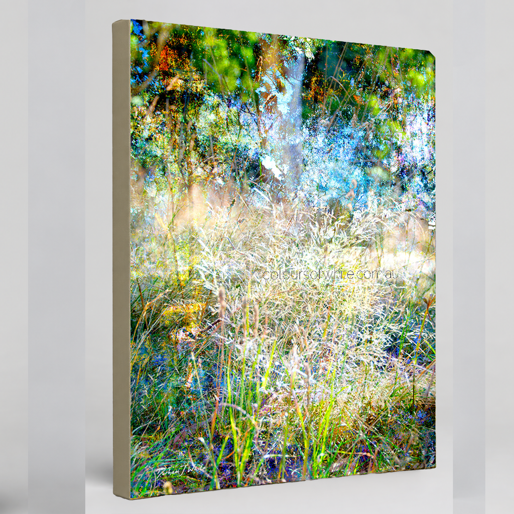 “Rising to the Countryside Glory” Archival canvas print by Durham J White, featuring a layered photographic artwork of wild grasses catching morning light against deep Australian greens, morning yellows, and cool sky blues.