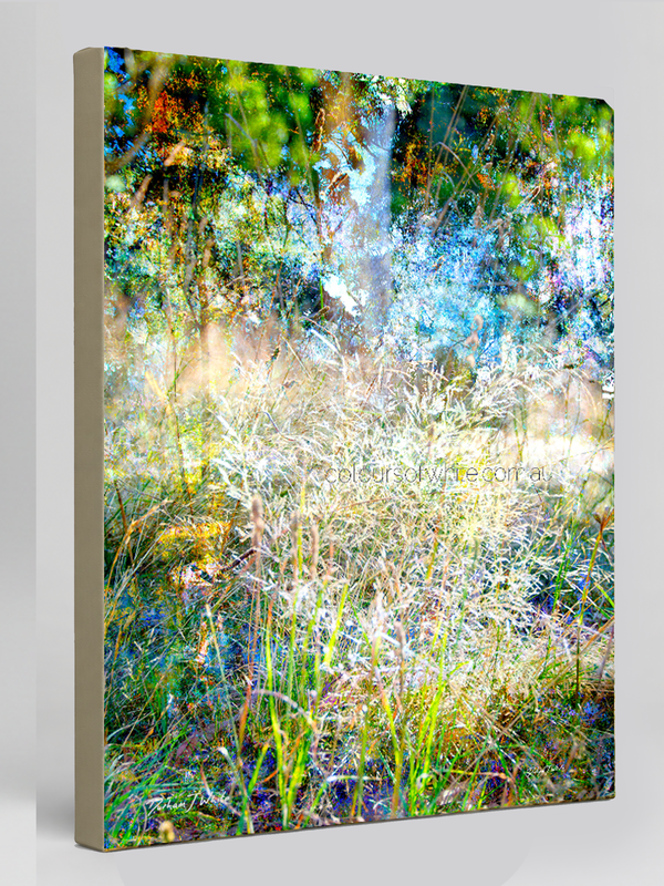 “Rising to the Countryside Glory” Archival canvas print by Durham J White, featuring a layered photographic artwork of wild grasses catching morning light against deep Australian greens, morning yellows, and cool sky blues.