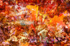 Falling Deeper Into Autumn's Reds – layered Bendigo urban landscape in deep reds and burnt orange by Durham J White. Archival canvas and Chromaluxe metal print.
