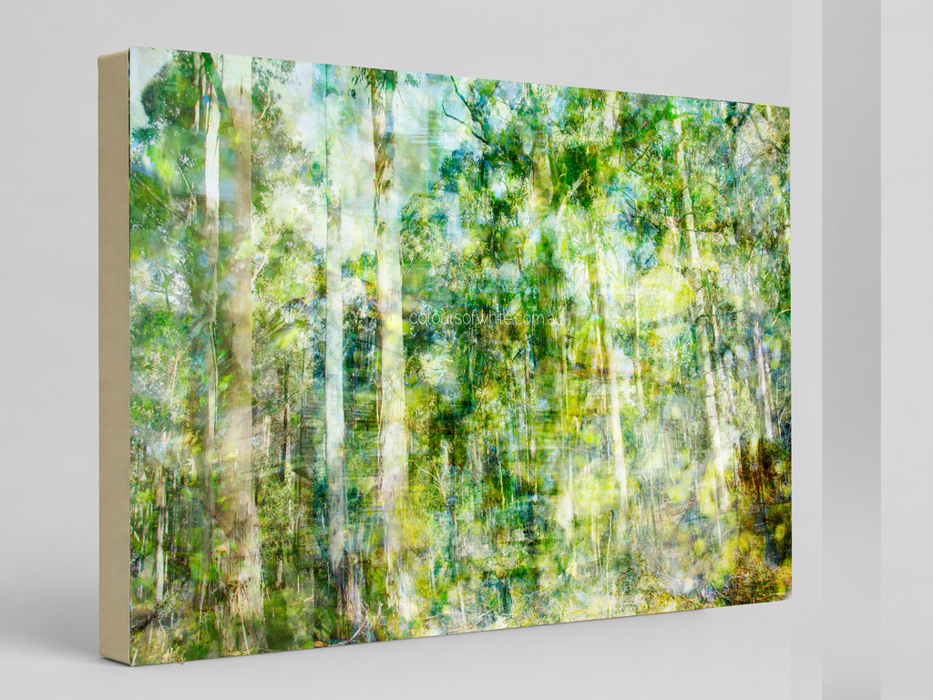 “Forest Dwelling” archival canvas print by Durham J White, featuring a layered photographic artwork of the Trentham countryside with neutral greens, warm earthy tones, and a soft painterly finish.