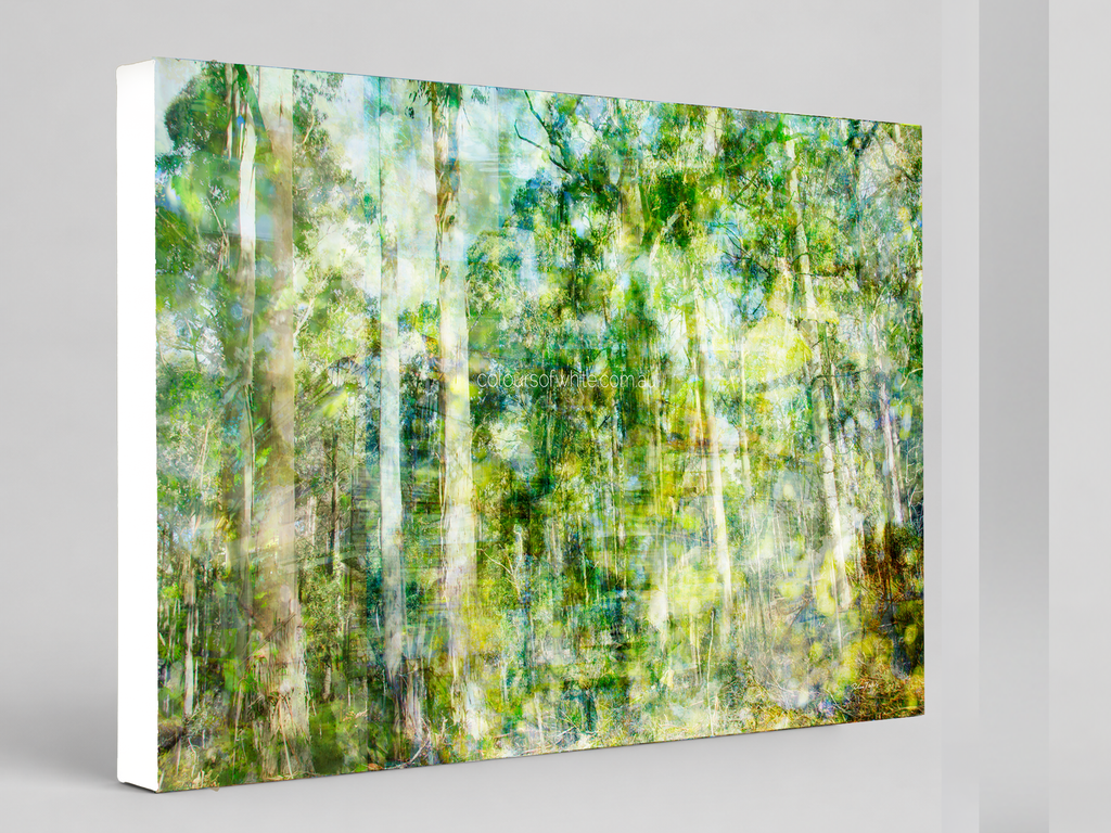 “Forest Dwelling” archival canvas print by Durham J White, featuring a layered photographic artwork of the Trentham countryside with neutral greens, warm earthy tones, and a soft painterly finish.