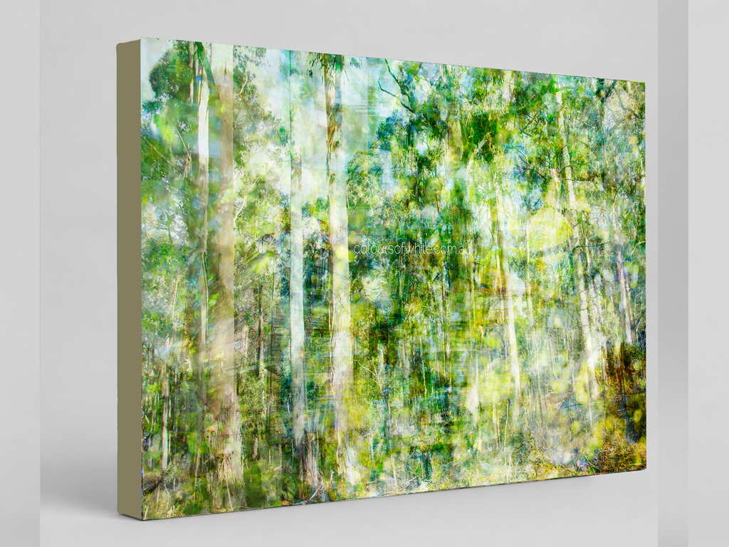 “Forest Dwelling” archival canvas print by Durham J White, featuring a layered photographic artwork of the Trentham countryside with neutral greens, warm earthy tones, and a soft painterly finish.