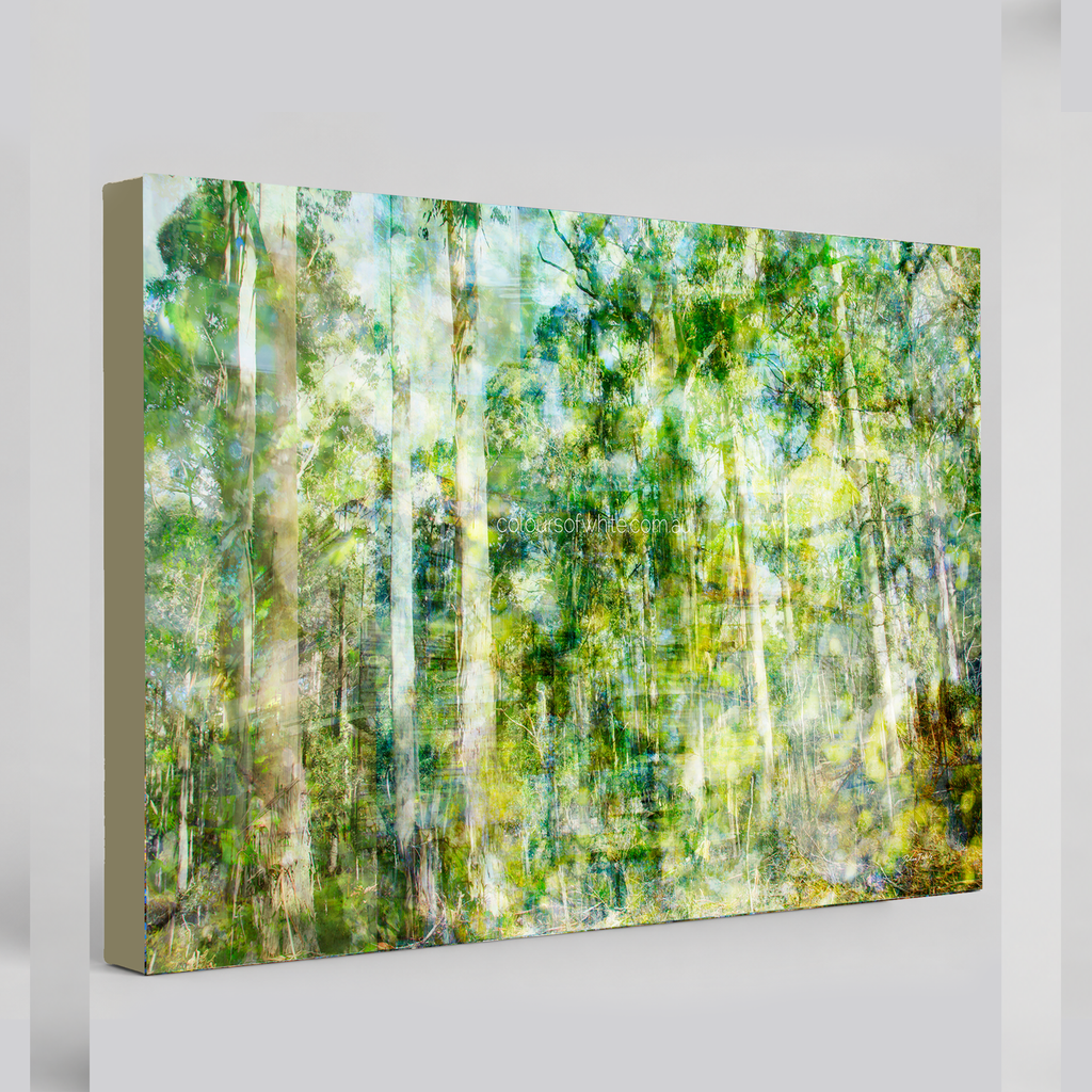 “Forest Dwelling” archival canvas print by Durham J White, featuring a layered photographic artwork of the Trentham countryside with neutral greens, warm earthy tones, and a soft painterly finish.