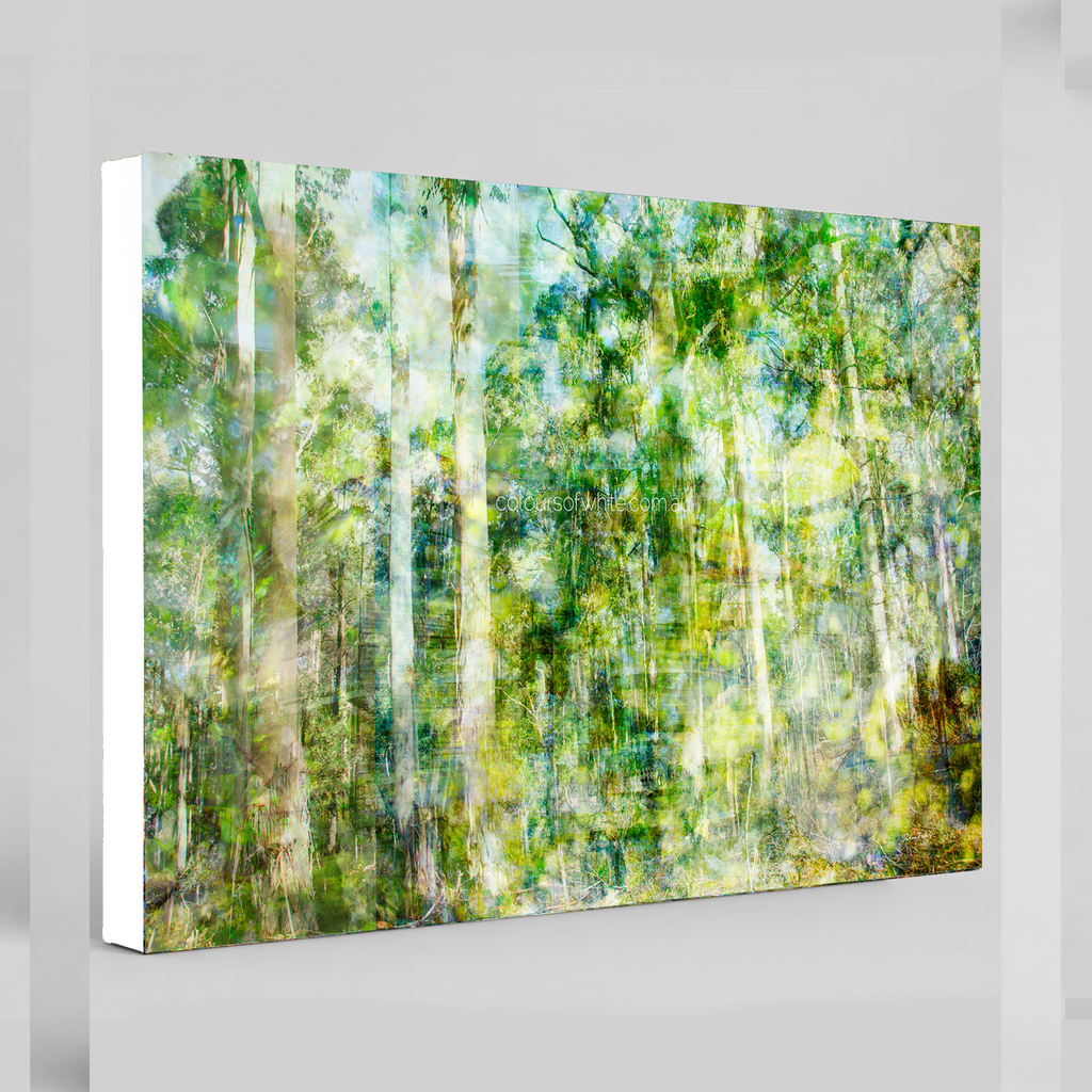 “Forest Dwelling” archival canvas print by Durham J White, featuring a layered photographic artwork of the Trentham countryside with neutral greens, warm earthy tones, and a soft painterly finish.