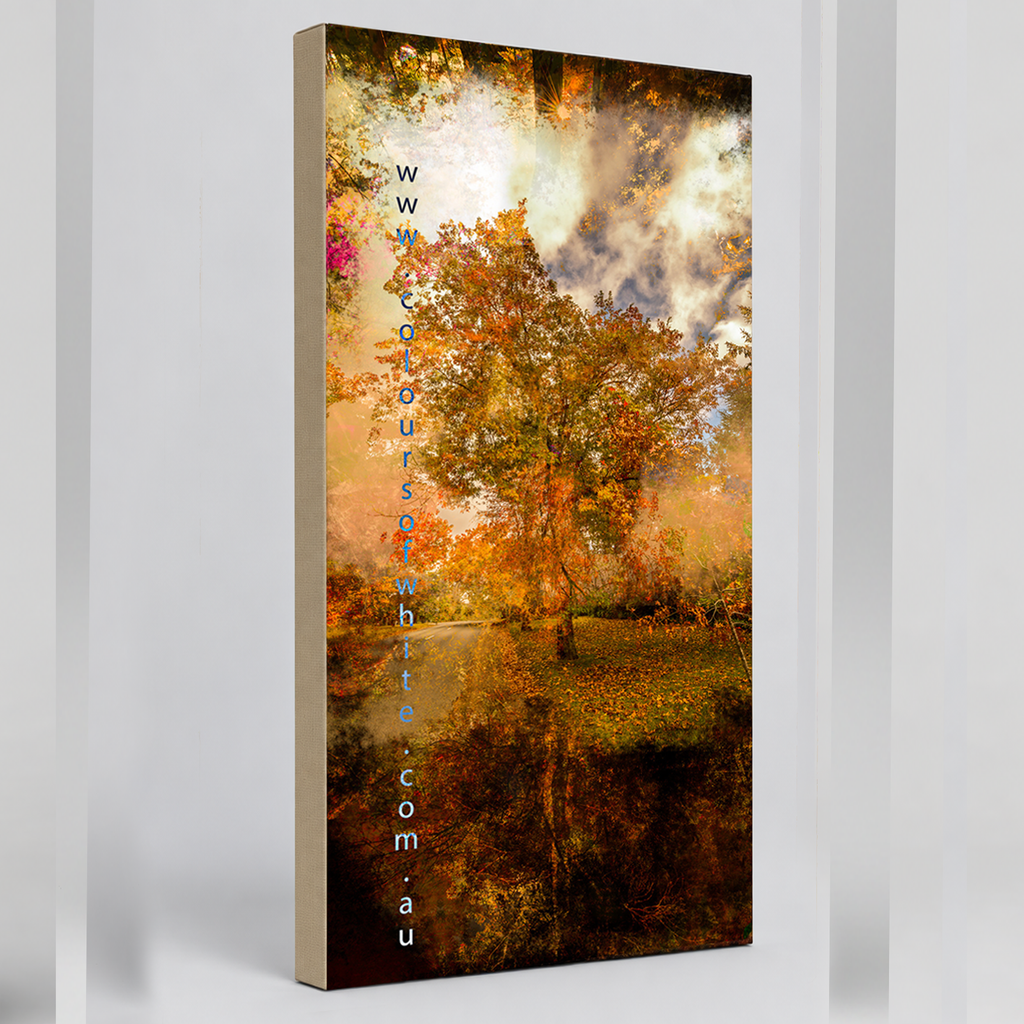 “Grounded” archival canvas print by Durham J White, featuring a layered photographic artwork of Honour Avenue in Macedon in saturated burnt oranges, amber tones, and a radiant golden canopy. 