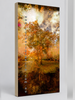 “Grounded” archival canvas print by Durham J White, featuring a layered photographic artwork of Honour Avenue in Macedon in saturated burnt oranges, amber tones, and a radiant golden canopy. 