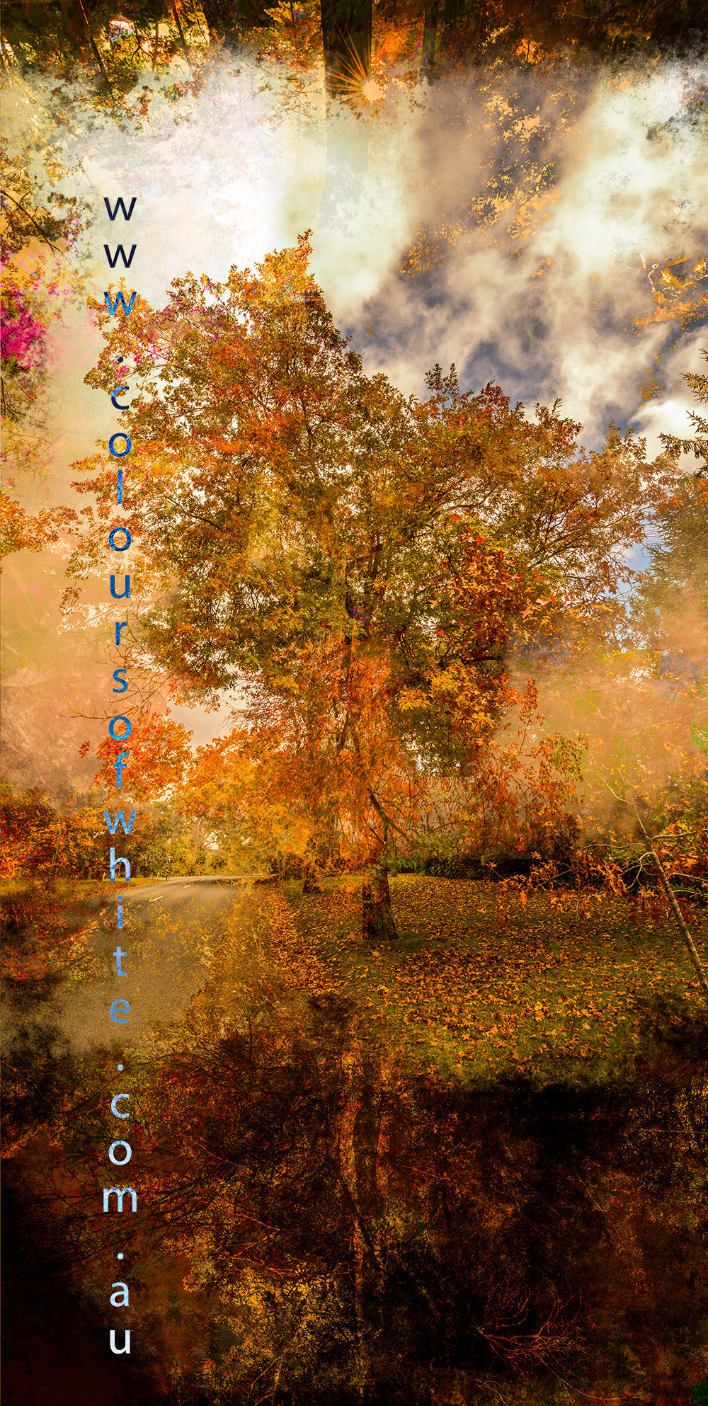 “Grounded” artwork by Durham J White, featuring a layered photographic artwork of Honour Avenue in Macedon in saturated burnt oranges, amber tones, and radiant golden yellows.