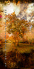 “Grounded” artwork by Durham J White, featuring a layered photographic artwork of Honour Avenue in Macedon in saturated burnt oranges, amber tones, and radiant golden yellows.