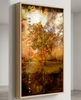 “Grounded” ash box framed archival canvas print by Durham J White, featuring a layered photographic artwork of Honour Avenue in Macedon in saturated burnt oranges, amber tones, and a radiant golden canopy. Shown is the artwork.