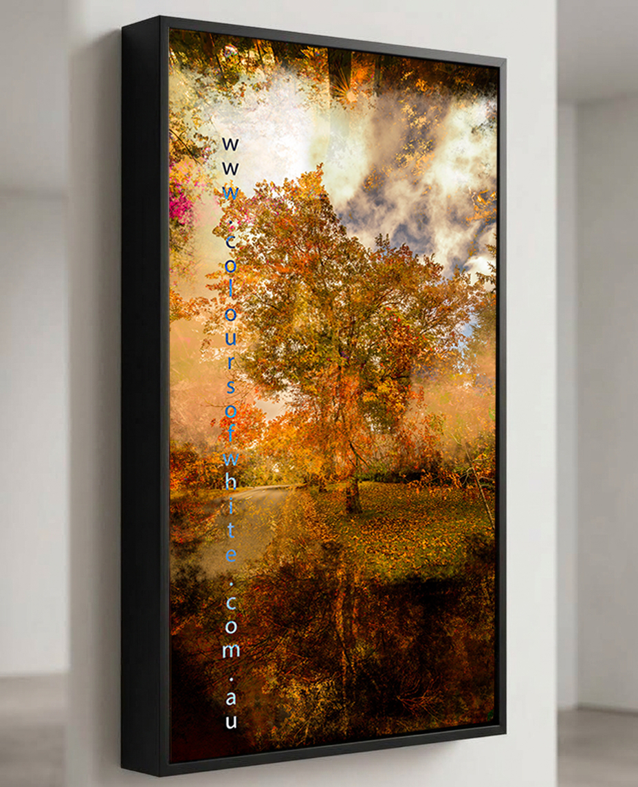 “Grounded” satin black box framed archival canvas print by Durham J White, featuring a layered photographic artwork of Honour Avenue in Macedon in saturated burnt oranges, amber tones, and a radiant golden canopy. Shown is the artwork.