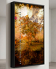 “Grounded” satin black box framed archival canvas print by Durham J White, featuring a layered photographic artwork of Honour Avenue in Macedon in saturated burnt oranges, amber tones, and a radiant golden canopy. Shown is the artwork.