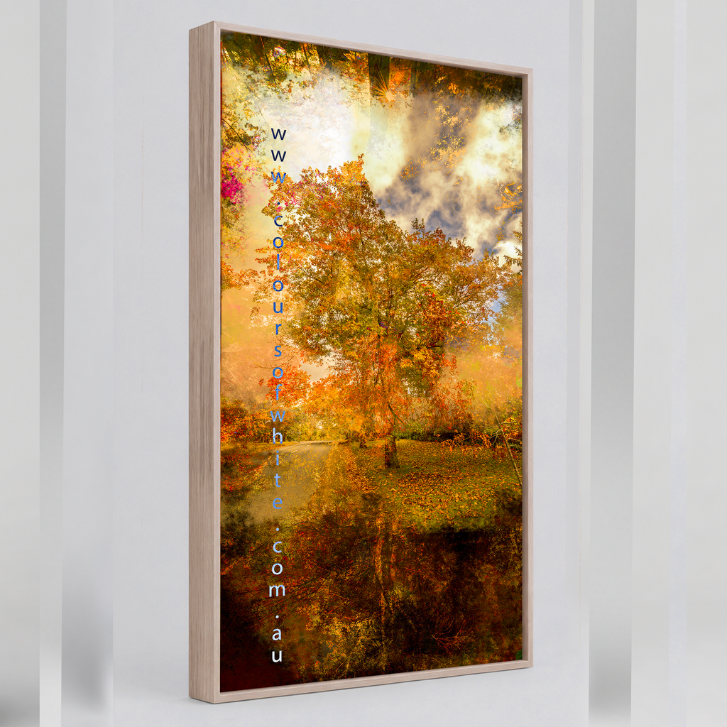 “Grounded” ash box framed ChromaLuxe metal print by Durham J White, featuring a layered photographic artwork of Honour Avenue in Macedon in saturated burnt oranges, amber tones, and radiant golden yellows.
