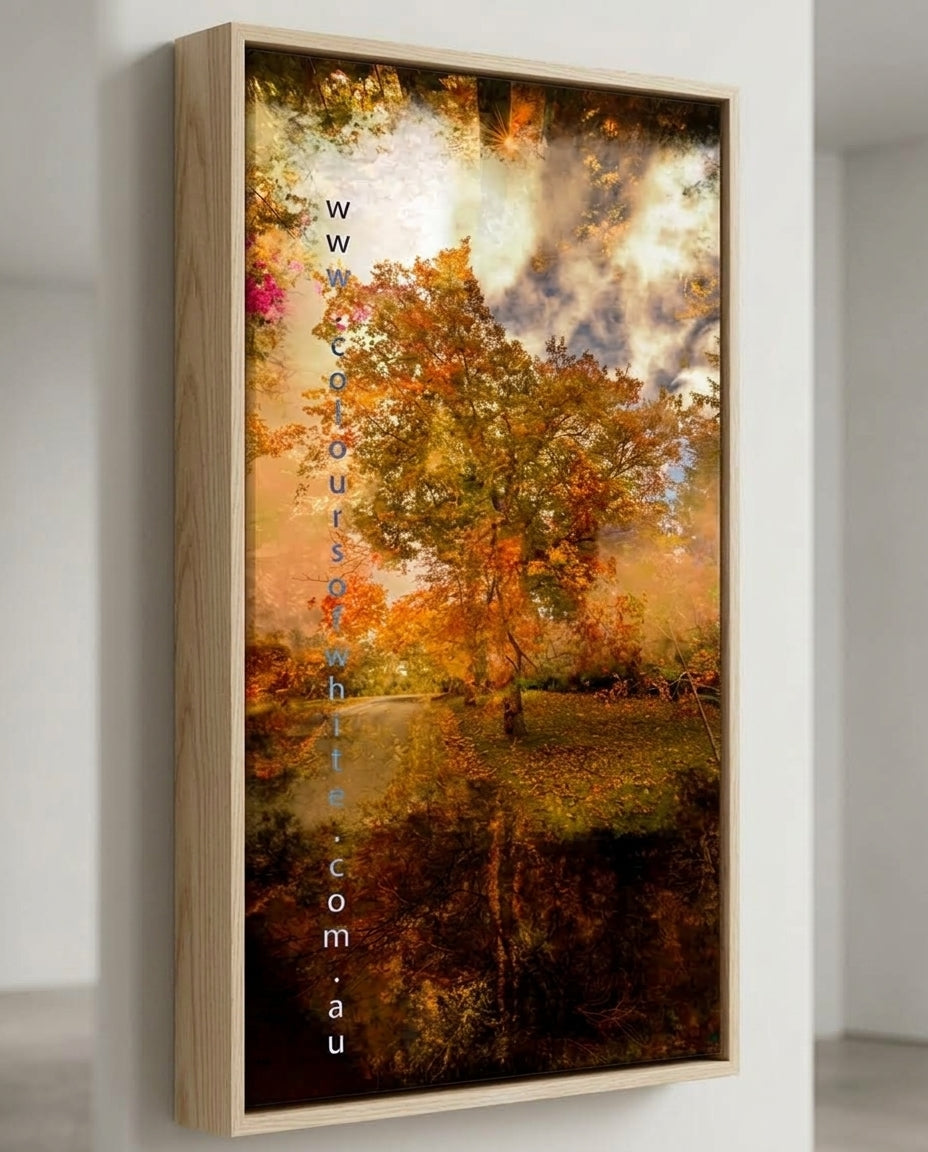 “Grounded” ash box framed ChromaLuxe metal print by Durham J White, featuring a layered photographic artwork of Honour Avenue in Macedon in saturated burnt oranges, amber tones, and radiant golden yellows.