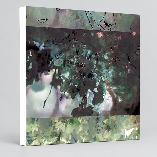 Blossoms Square Element 4 — deep green and mauve Japanese blossom artwork by Durham J White archival canvas print.