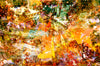 “Kaleidoscope of Views” artwork by Durham J White, featuring a layered photographic artwork of Bendigo's streetscape in earthy greens, warm orange accents, and black-and-white structural elements.