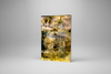 “Pathways Rise” archival canvas print by Durham J White, featuring a layered photographic artwork of a Kyneton nature reserve in vibrant lime greens, lemon yellows, and filtered warm tones.