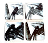 A set of four square coasters featuring black and white images of spiders and a praying mantis in an abstract and artistic style.