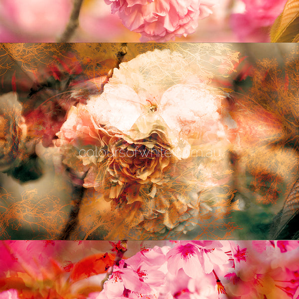 Blossoms Square Element 2 — yellow, pink and burnt orange Japanese blossom and peonies  botanical art by Durham J White, archival canvas
