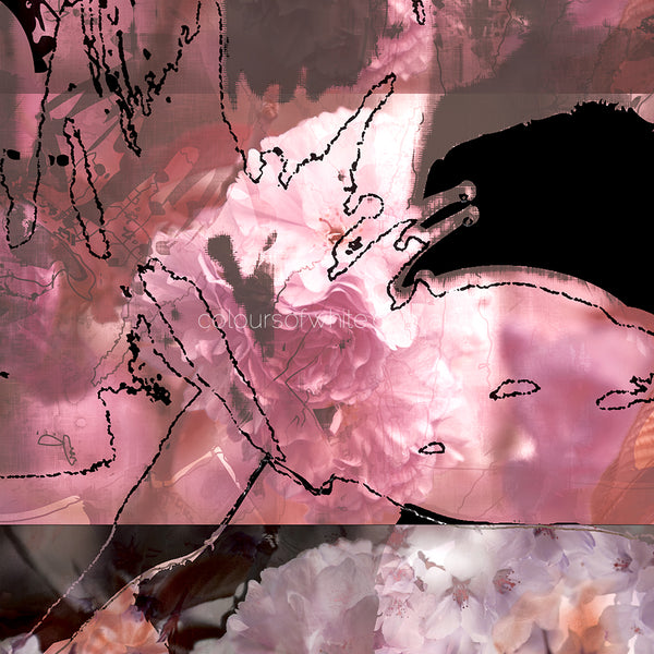 Blossoms Square Element 3 — cream, pink and plum wine Japanese blossom peony botanical art by Durham J White, archival canvas.