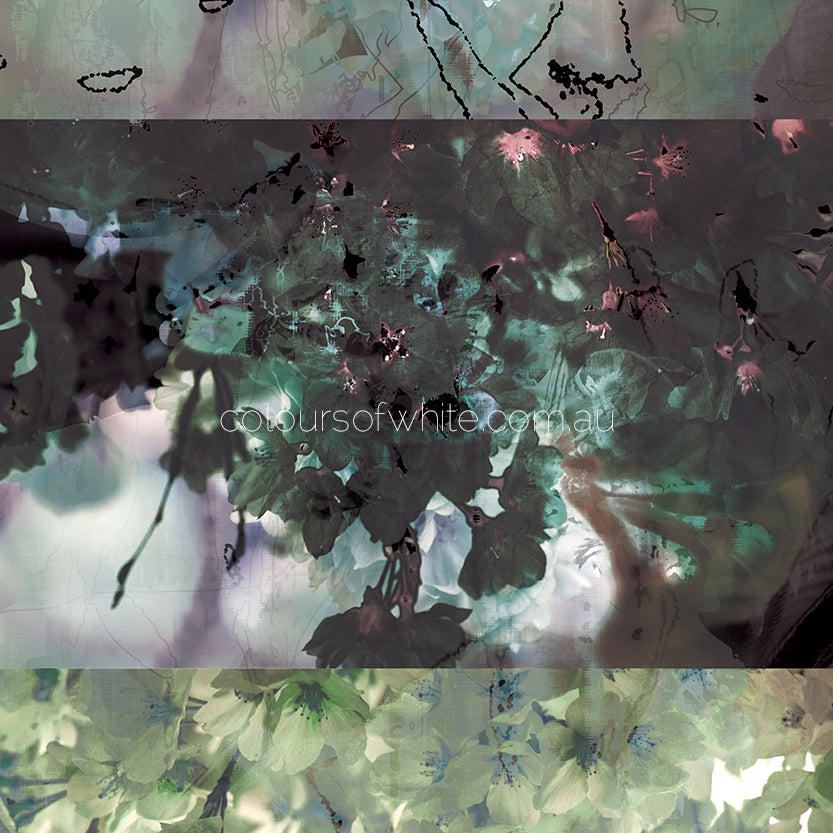 Blossoms Square Element 4 — deep green and mauve Japanese blossom artwork by Durham J White
