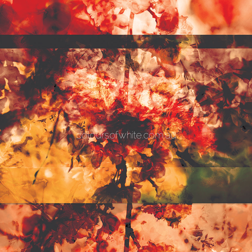 Blossoms Square Element 6 — dramatic red, brown and orange Japanese blossom peony botanical art by Durham J White, limited edition archival canvas