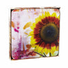 A set of four square coasters with a vibrant image of a sunflower on each, packaged in a clear box with a simple design.