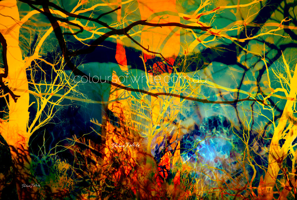 “A Sea Beyond” artwork by Durham J White, featuring a layered photographic artwork of the Macedon Ranges in lush forest greens, radiant sunset golds, warm orange-yellows, and subtle atmospheric blues.