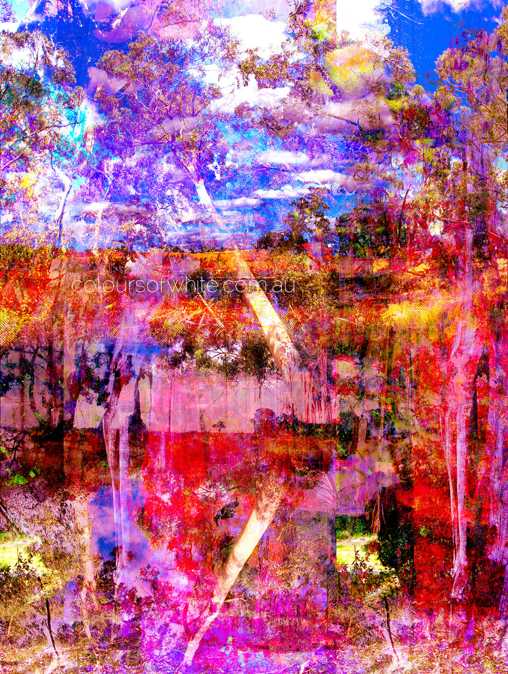 “Deep Meditative Therapy” artwork by Durham J White, featuring an abstract nature layered photographic artwork of the Australian landscape in rich hot pinks, deep blues, reds, and burnt oranges.