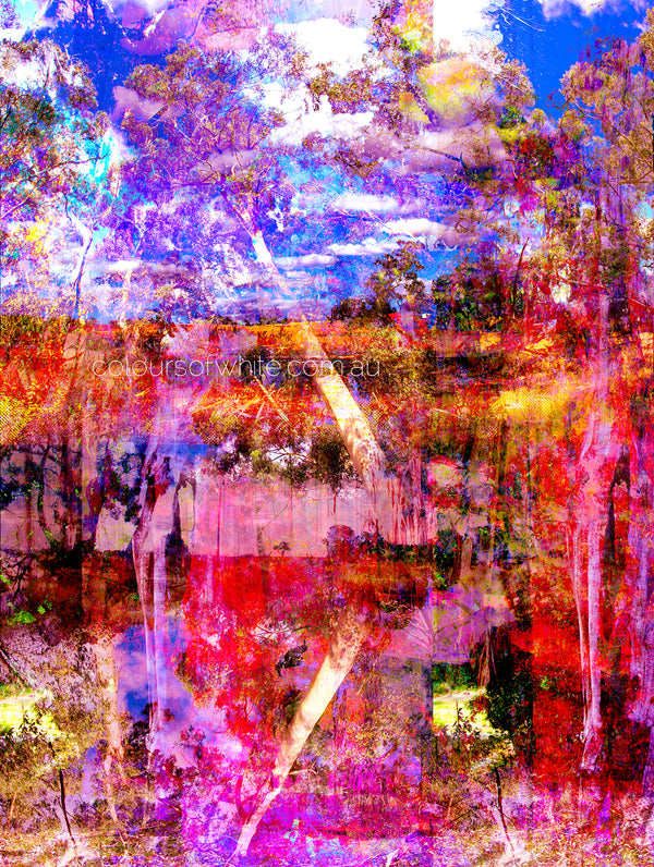 “Deep Meditative Therapy” artwork by Durham J White, featuring an abstract nature layered photographic artwork of the Australian landscape in rich hot pinks, deep blues, reds, and burnt oranges.