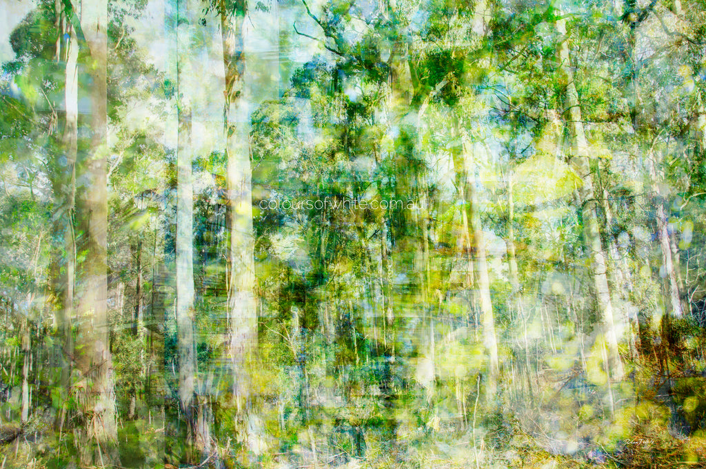 “Forest Dwelling” archival canvas print by Durham J White, featuring a layered photographic artwork of the Trentham countryside with neutral greens, warm earthy tones, and a soft painterly finish.