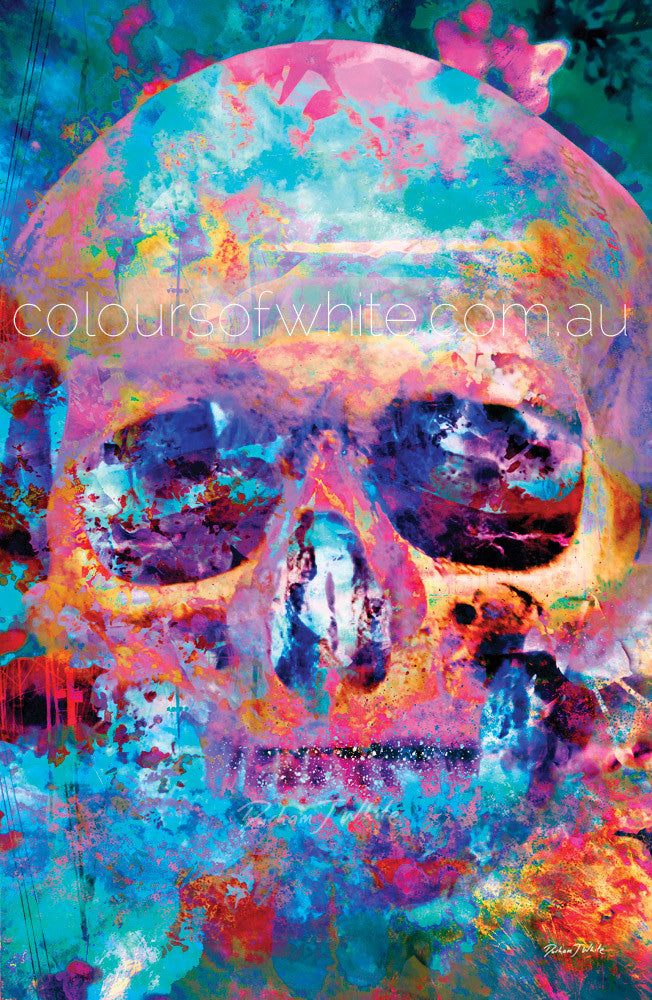 A canvas wall art featuring a skull design with a colorful background in shades of blue and pink.