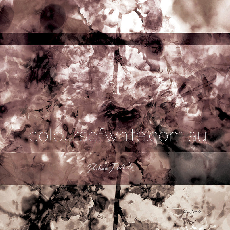 Japanese Blossoms Square Element 7” Archival canvas print by Durham J White, featuring a muted, layered abstract floral artwork in cool grey, soft cream, and shadowed plum tones.