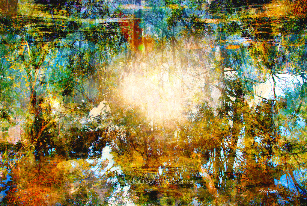 "Komorebi: Burnt Autumn Glow" archival canvas print by Durham J White, featuring a layered photographic artwork of sunlight blazing through an autumn forest canopy near Trentham, Victoria, in burnt amber, deep forest greens, and teal tones.