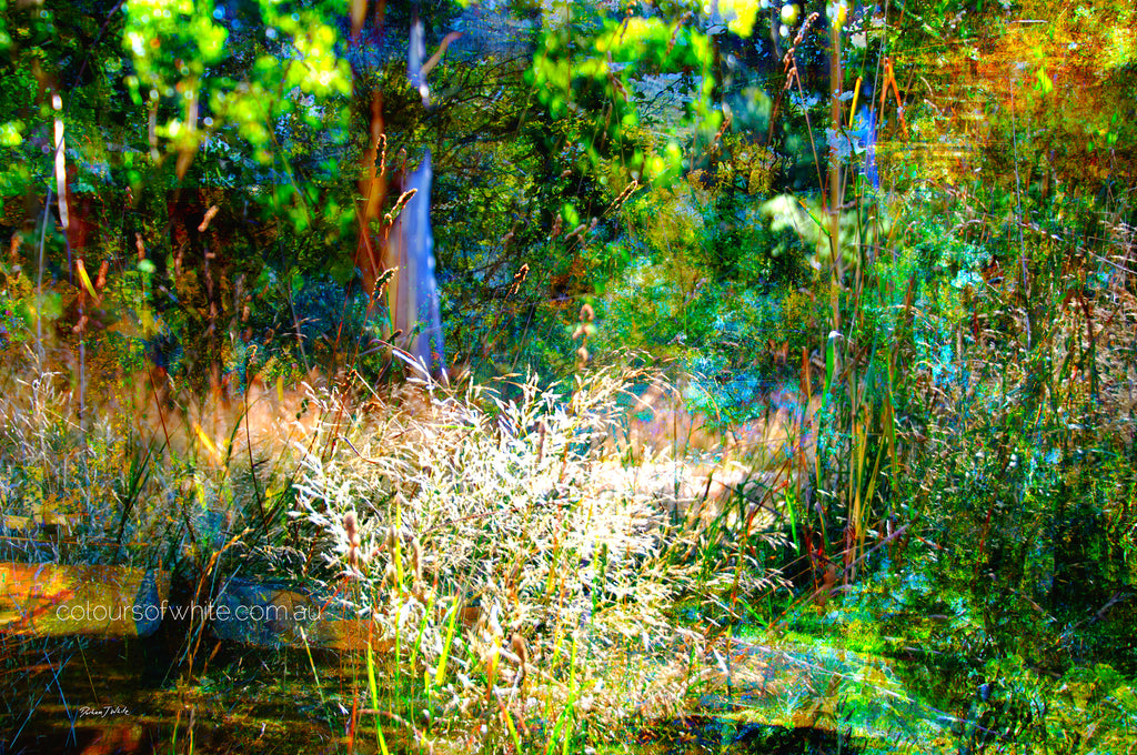 “The Fairytale Garden” archival canvas print by Durham J White, featuring a layered photographic artwork of the Australian countryside with deep lush greens and moonlit blues.
