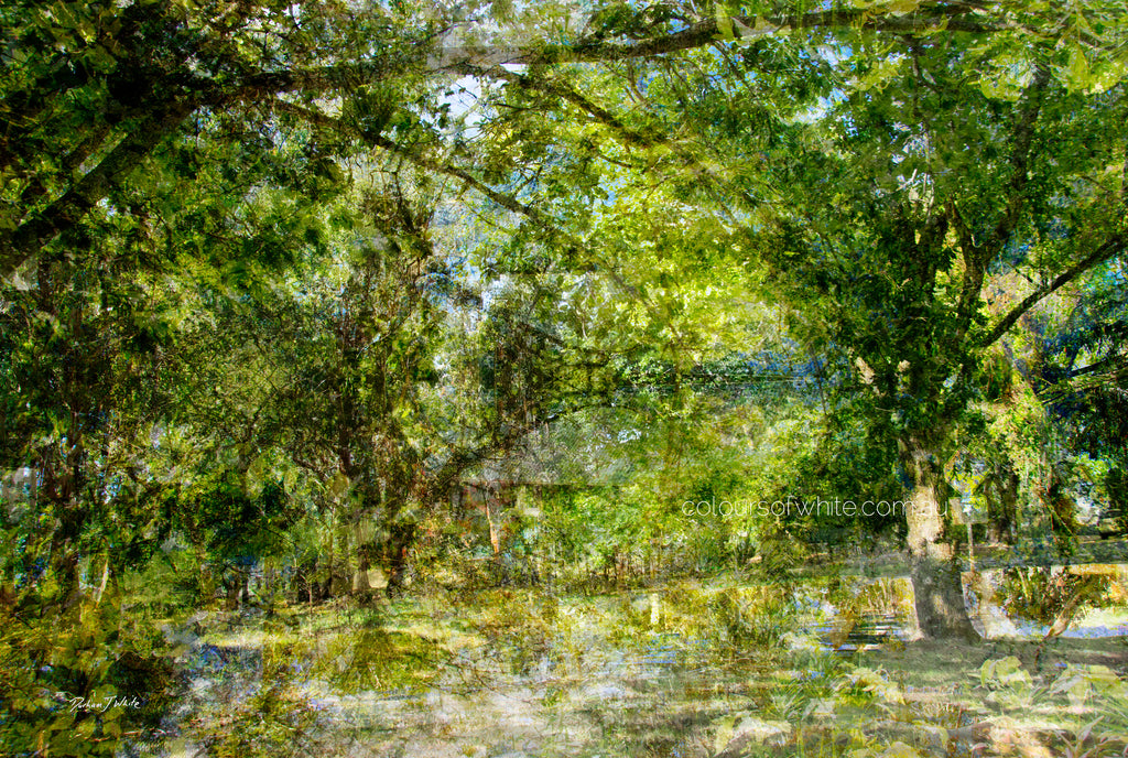 “The Water Coloured Grounds” archival canvas print by Durham J White, featuring a layered photographic artwork of the Australian countryside with lush meadow greens, warm earth tones, and a soft painterly finish.