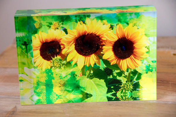 A rectangular free standing acrylic tile featuring lime green and classic gold sunflowers