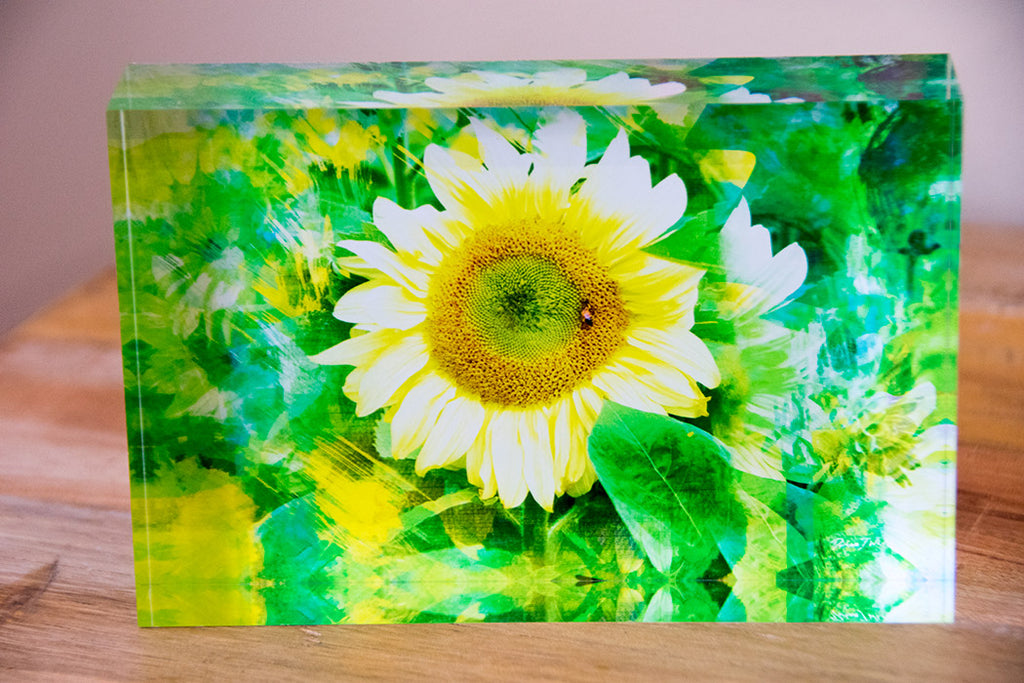 A rectangular lime green tile featuring a lemon-petal FleuroSun Ice Lady sunflower in the center with an abstract layered green background.