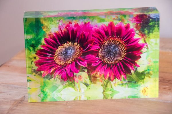 A rectangular tile featuring a vibrant image of sunflowers with rich lime colors on a white background.