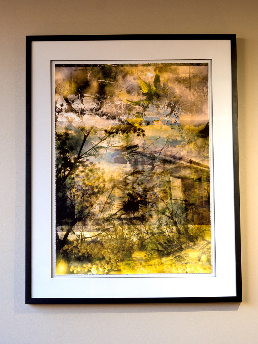 Pathways Rise – Kyneton layered photographic nature work by Durham J White. Lime and lemon foliage with upward light through BlackHill Reserve. Glass Framed Fine Archival Print