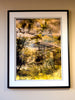 Pathways Rise – Kyneton layered photographic nature work by Durham J White. Lime and lemon foliage with upward light through BlackHill Reserve. Glass Framed Fine Archival Print