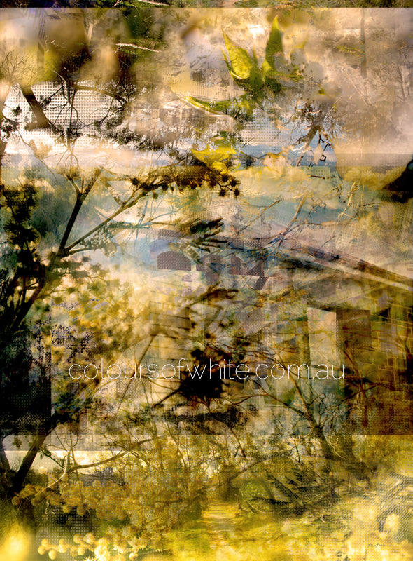 Pathways Rise – Kyneton layered photographic nature work by Durham J White. Lime and lemon foliage with upward light through BlackHill Reserve.
