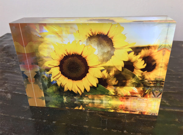 A decorative tile featuring a photograph of sunflowers with peachy apricot tones on a white background.