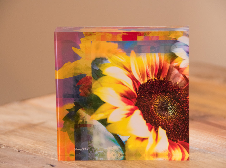 A square-shaped, free-standing decorative tile featuring a multicolored sunflower design with peach apricot and mauve accents on a wooden surface.