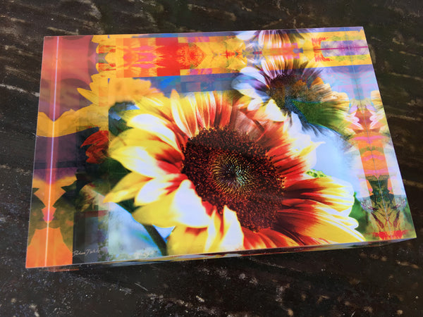A rectangular decorative tile featuring a vibrant sunflower and peach apricot color pattern.