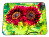 A set of four placemats featuring a vibrant image of red sunflowers with a lime green textural background.