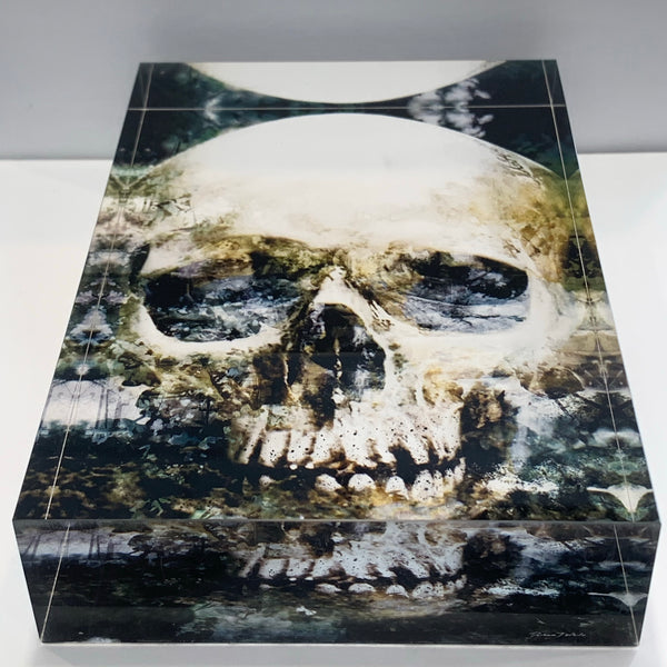 A black and white image of a skull design, with a vintage appearance, and is a free standing tile art piece.